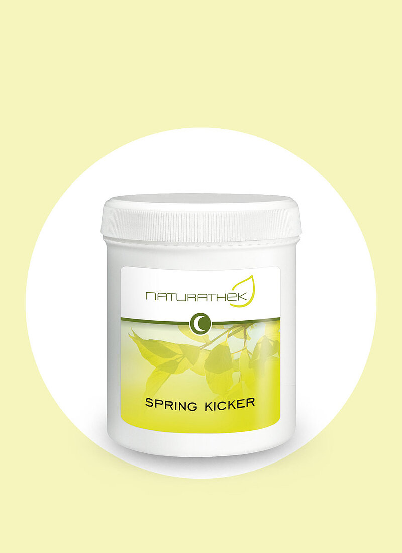 Pulver-SpringKicker-Nacht.jpg